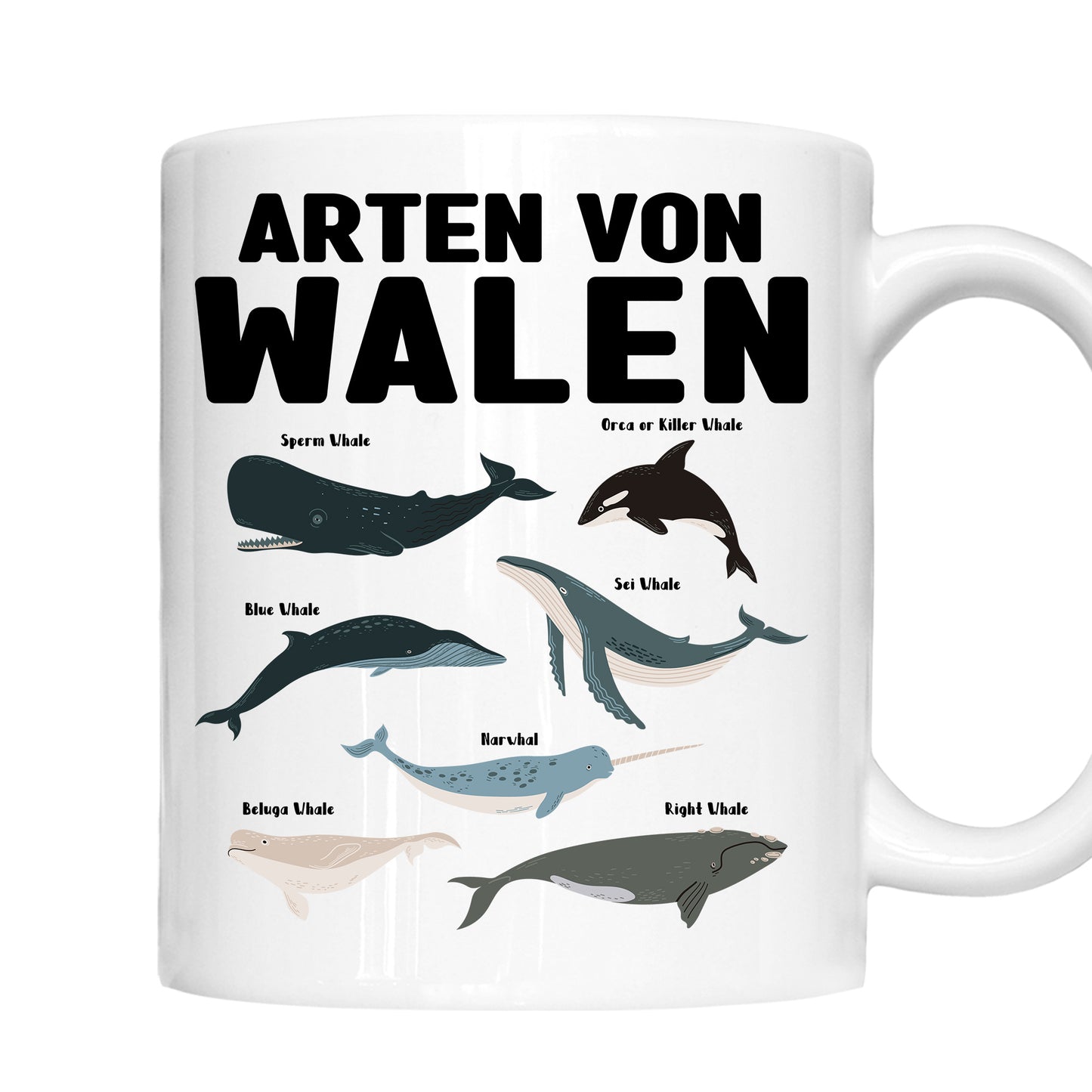 Walen Tasse | arten von Walen |